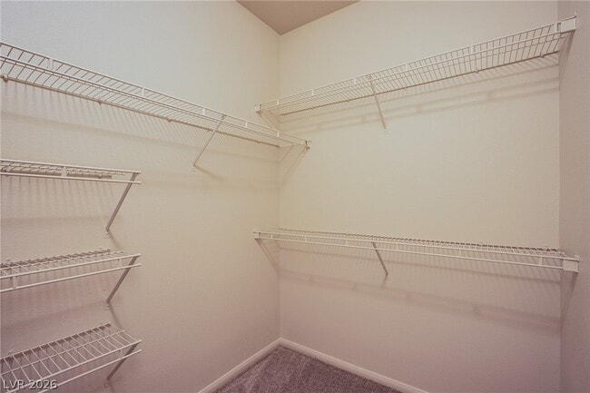 Building Photo - 1521 Ruby Cliffs Ln
