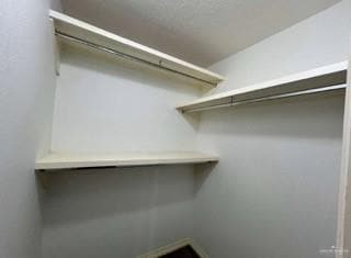 Building Photo - 25 Cll Tulipan