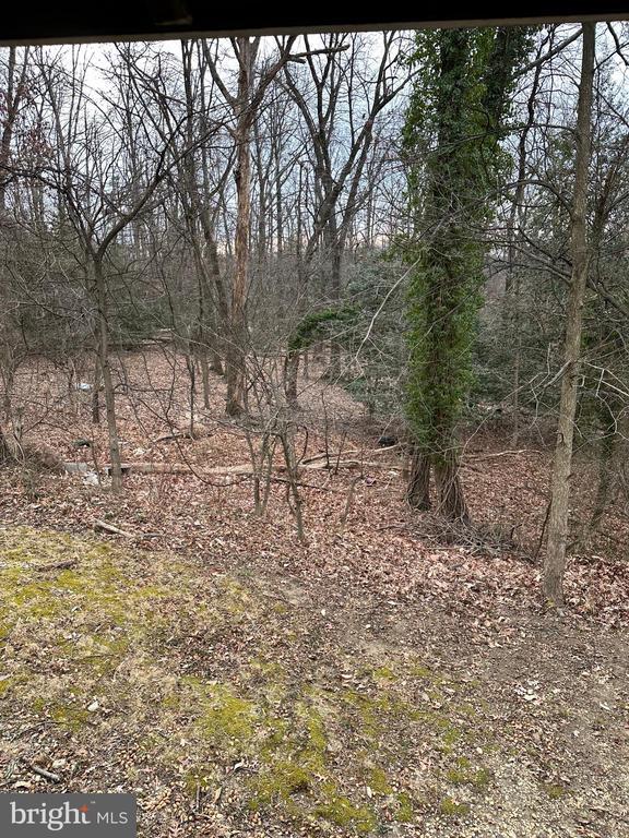 Building Photo - 10006 Green Forest Dr