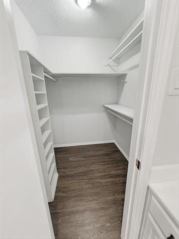 Building Photo - 2409 Castle St