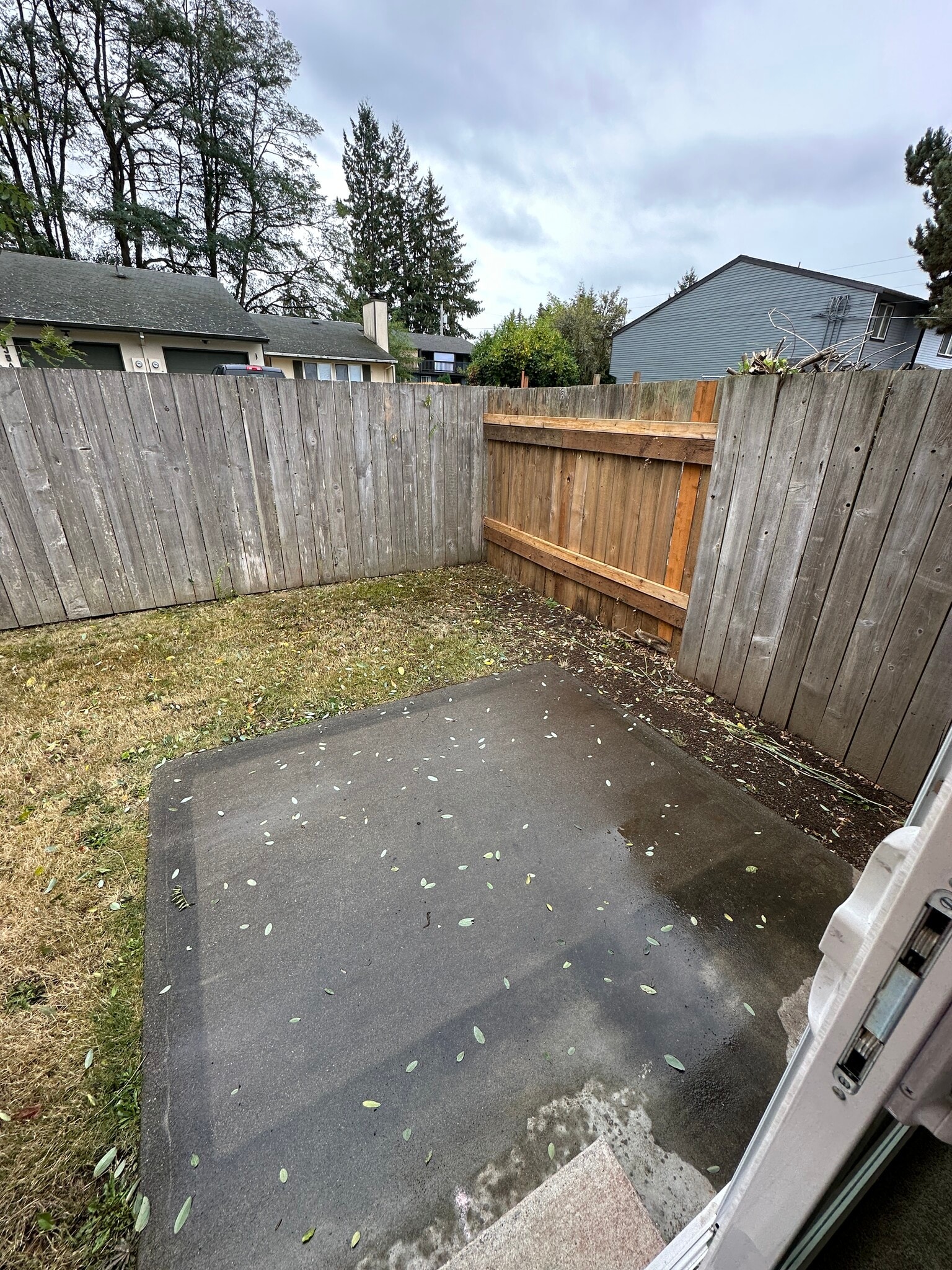 Fully fenced backyard with patio - 3031 Bridgeport Way W