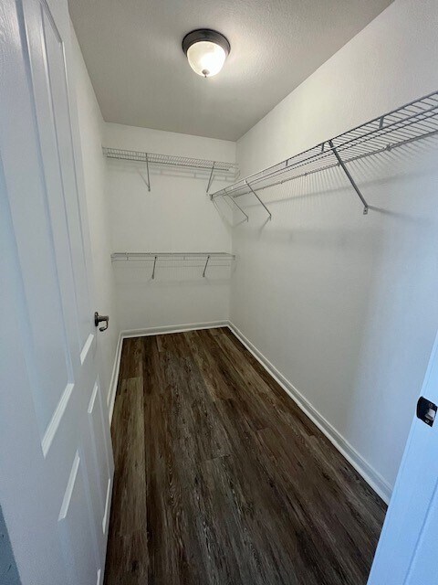 Building Photo - 7575 Kirby Dr