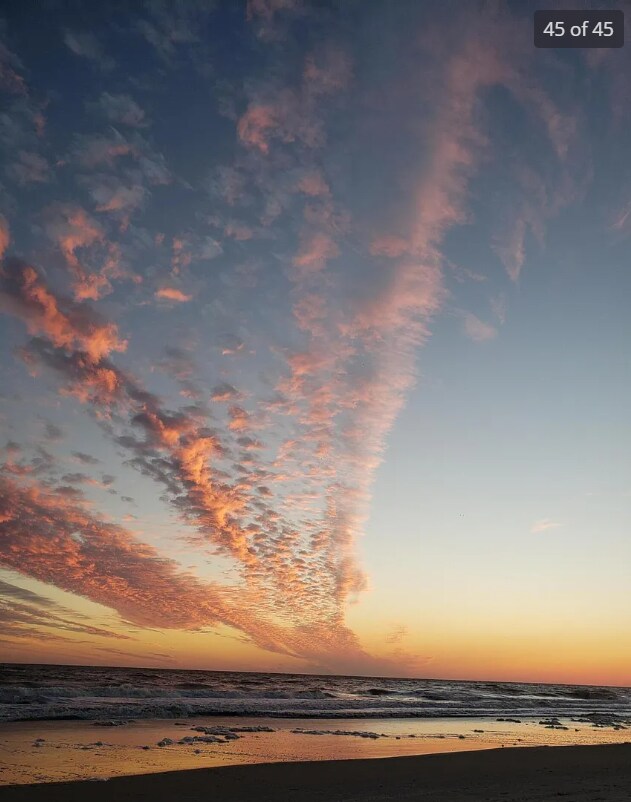 Building Photo - 4008 Cypress Frst Wy