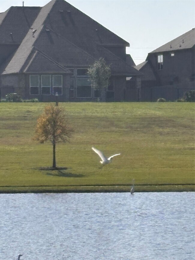 Building Photo - 7414 Evelyn Grv Dr