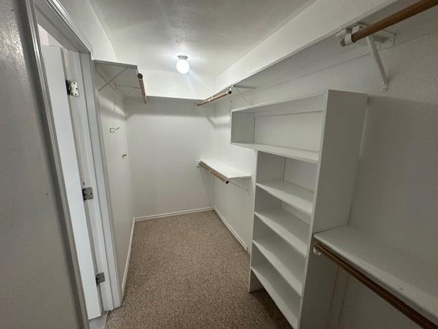 Building Photo - 1406 Conejos Ct
