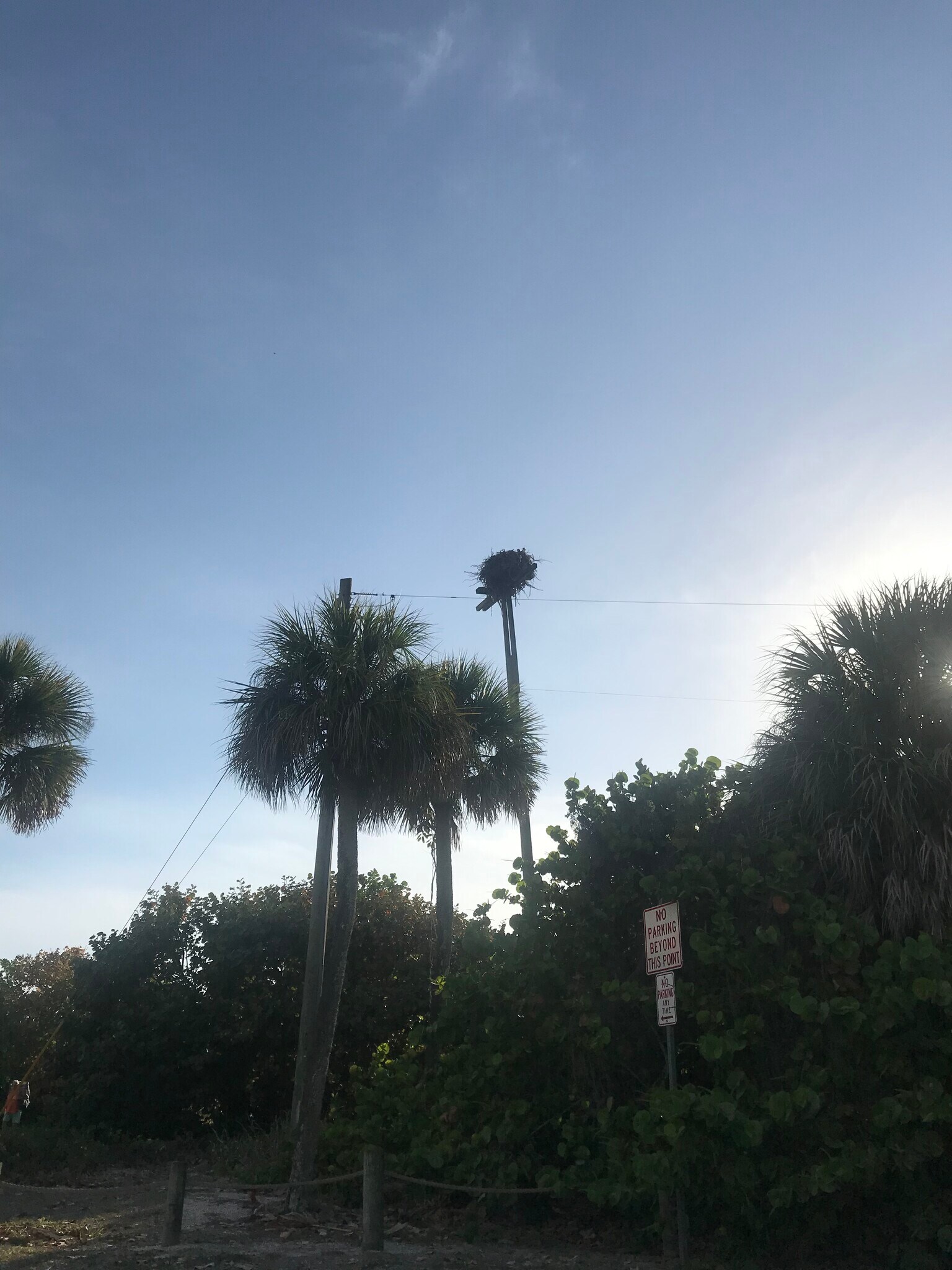 Building Photo - 2440 Manasota Beach Rd
