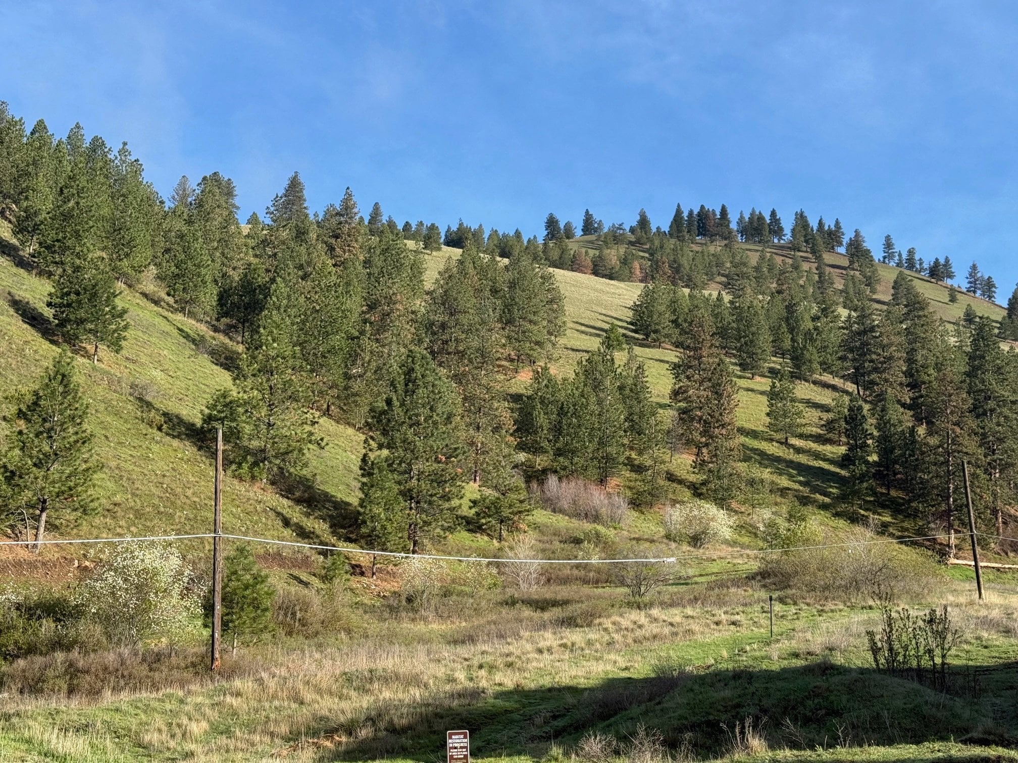 Building Photo - 648 Highton St