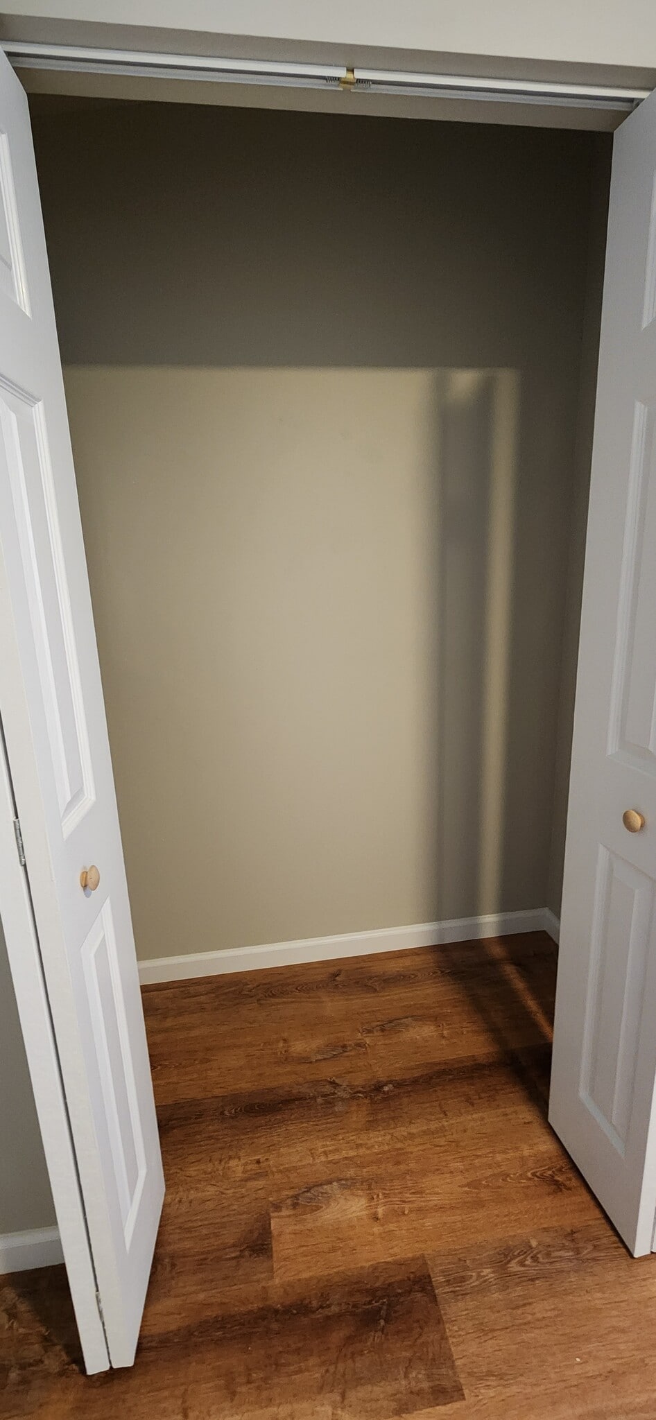 Bedroom B Closet - 1120 Eagle View Dr