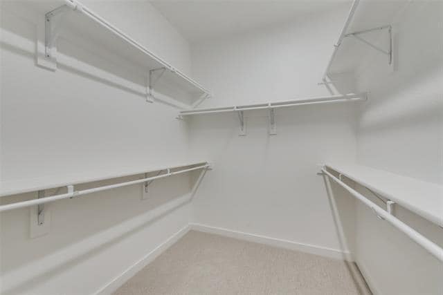 Building Photo - 831 Cavitt Ct