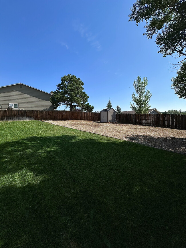 Backyard - 5507 Fiesta Ln