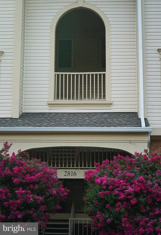 Building Photo - 2816 Emma Lee St
