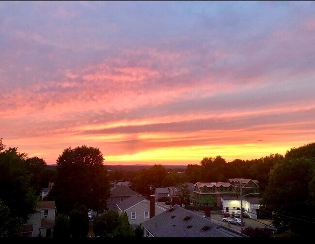 Building Photo - 308 Quarry St