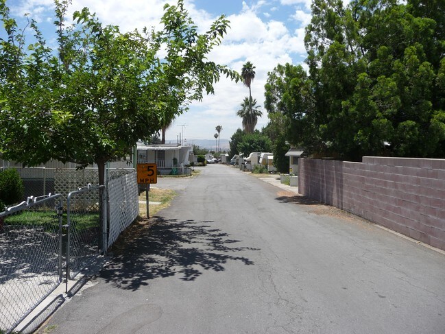 Primary Photo - Palm Grove Trailer Park