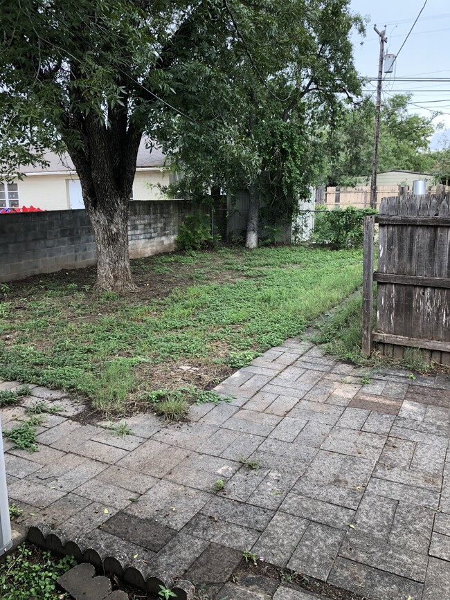 Fenced in backyard with Pecan tree. - 1615 Kenwood