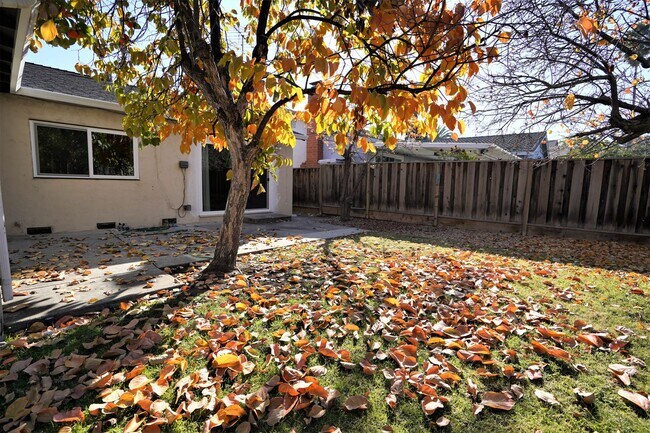 Building Photo - Beautiful Single Family Home in Desirable ...