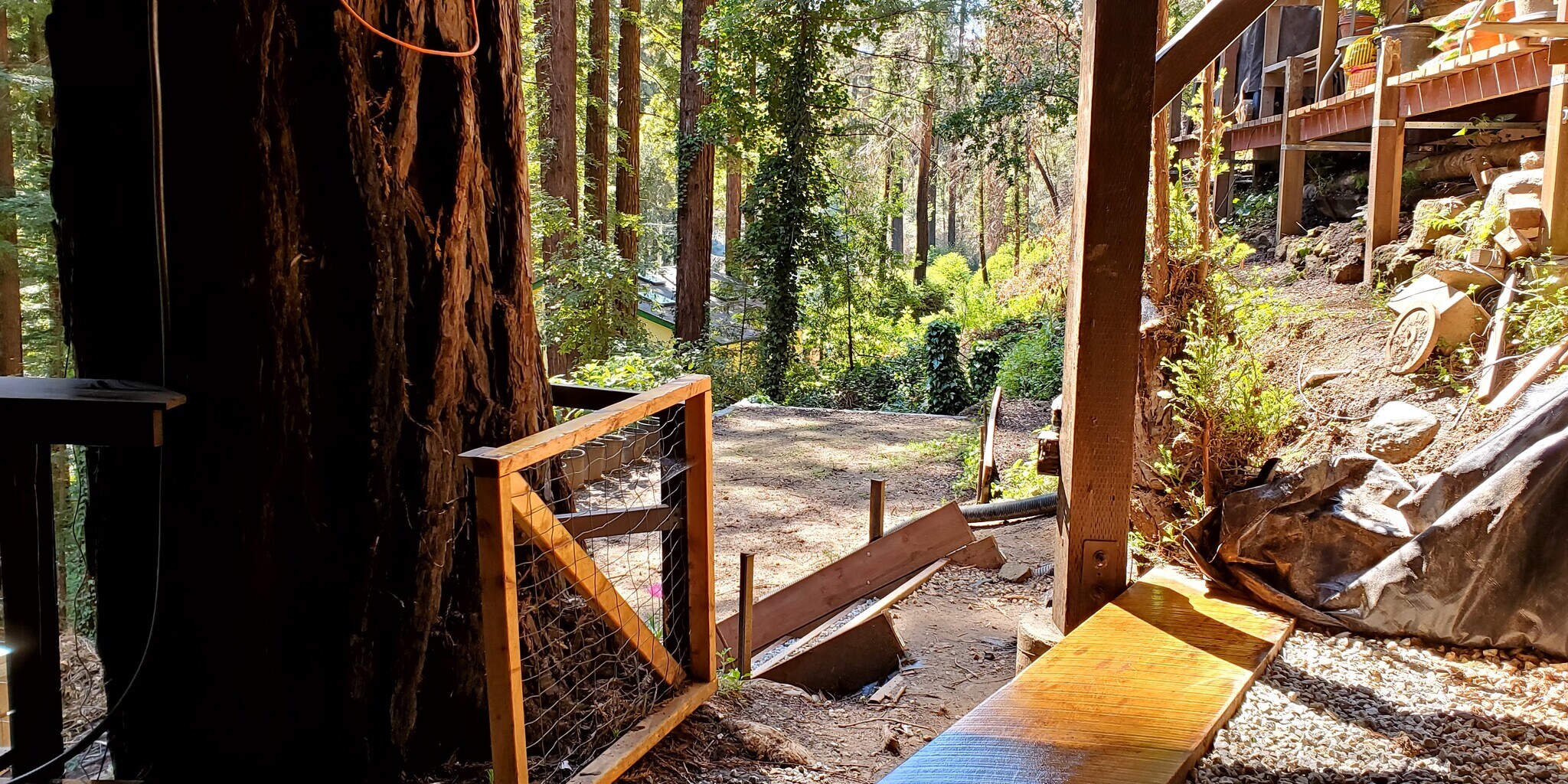 Building Photo - 787 Applewood Rd