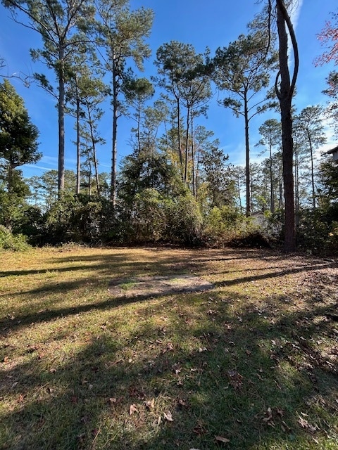 Building Photo - 1013 Hillside Dr