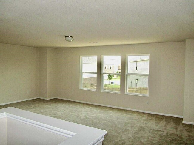 Building Photo - 4810 Blue Spruce Hill St