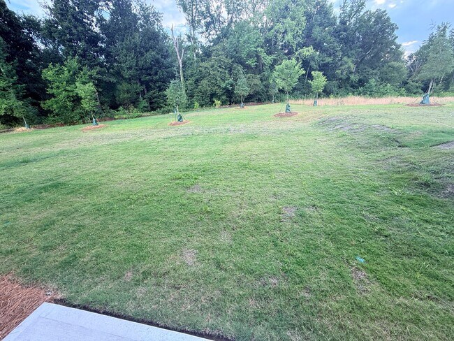 Building Photo - Brand New Townhome in Highland Creek Area!