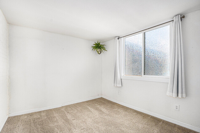 Primary Bedroom - lots of natural light - 1371 Ivy St