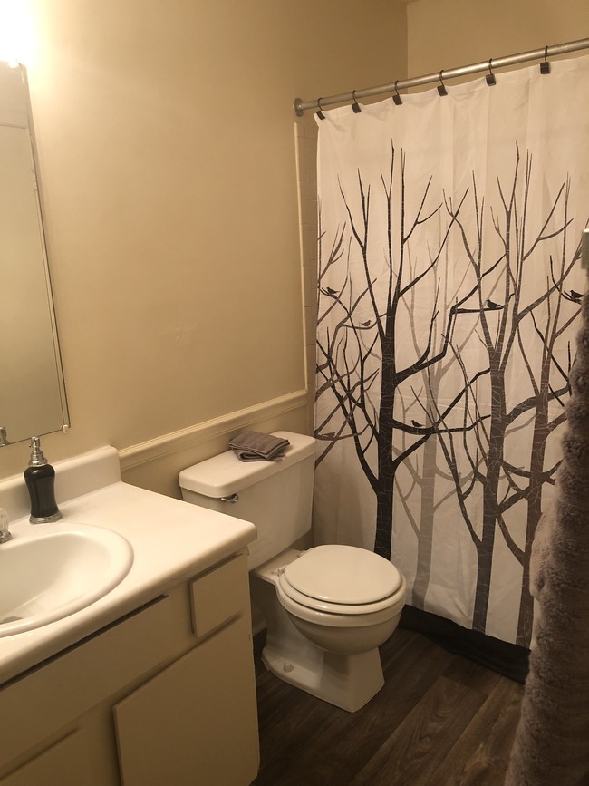 Bathroom - The Bluffs Apartment Homes