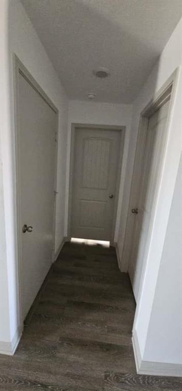 Building Photo - 223 Sweetwater Crk Ln