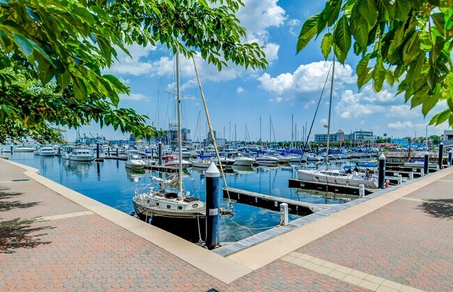 Building Photo - 100 Harborview Dr