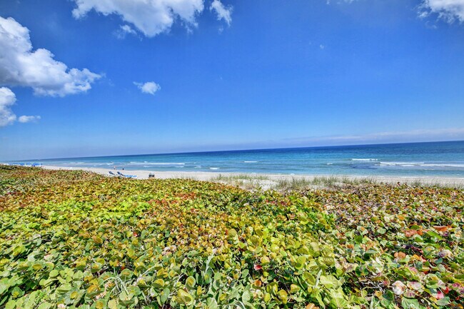 Building Photo - 2909 S Ocean Blvd