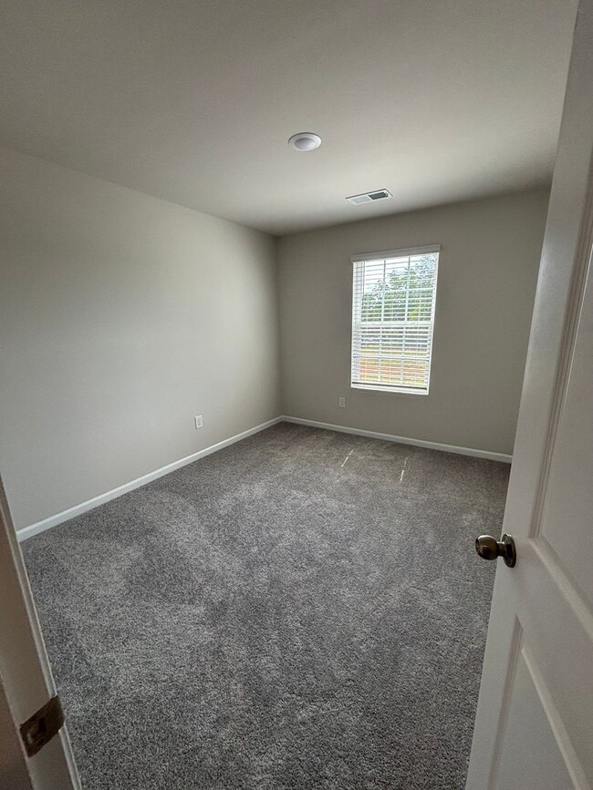Building Photo - Brand new Townhome in Chestnut Springs