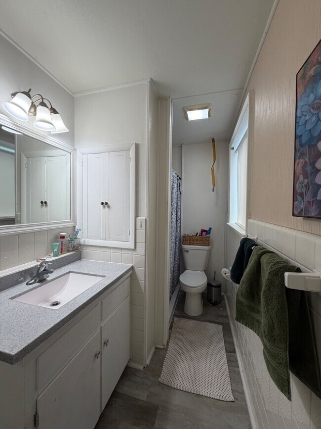 Building Photo - 3 bedroom 1 bath Apartment Available June 1st!! Massive bedrooms and a 5 minute walk to campus.
