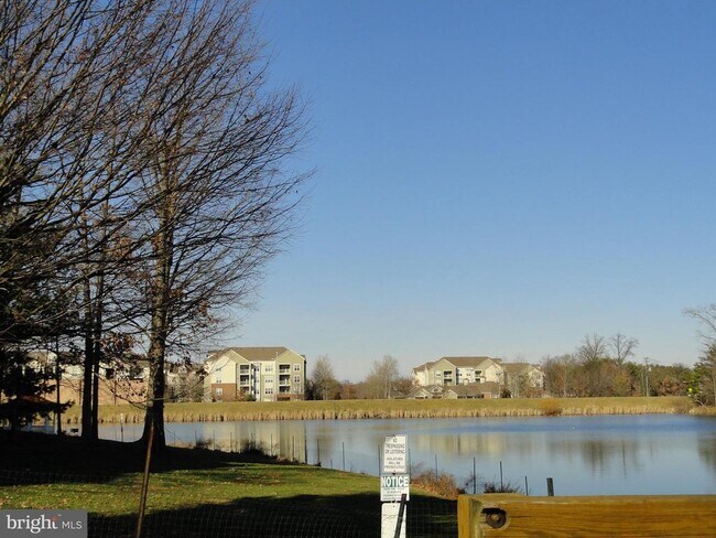 Building Photo - 1720 Lake Shore Crest Dr