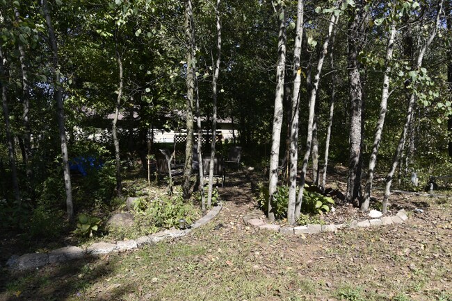 Building Photo - 3360 Patti Dr