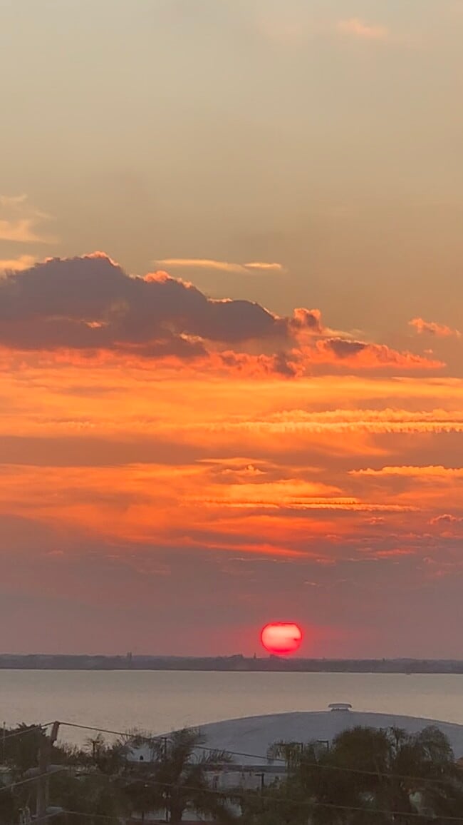 Building Photo - 561 Casa Bella Dr