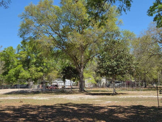 Building Photo - 2288 Amarylis Ave