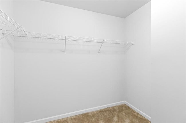 Building Photo - 360 Paulownia Cir