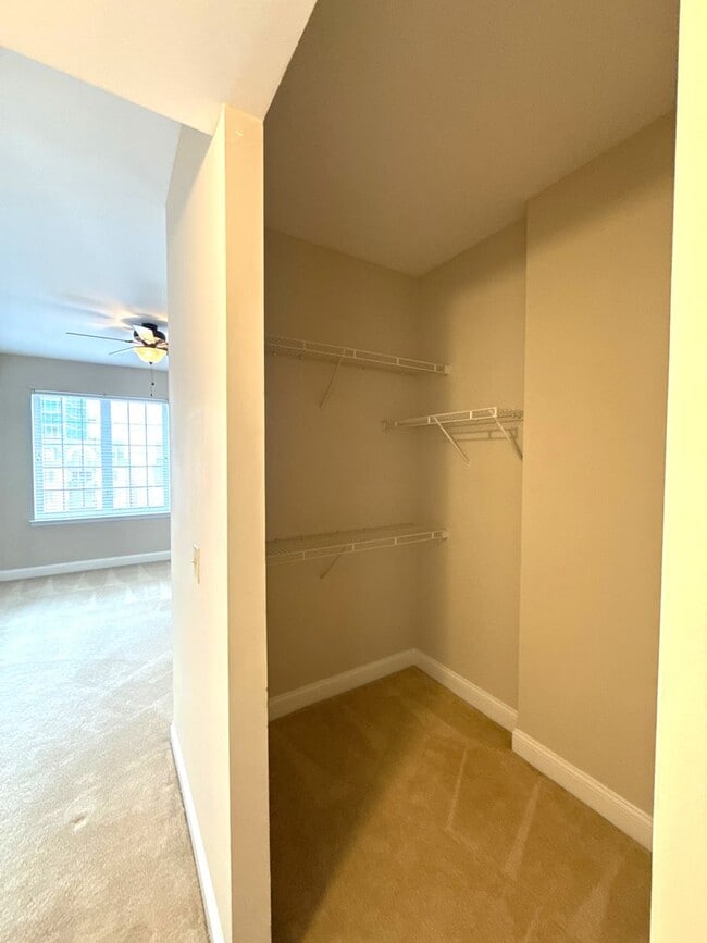 Building Photo - Fifth & Poplar - T.R. Lawing Realty Property