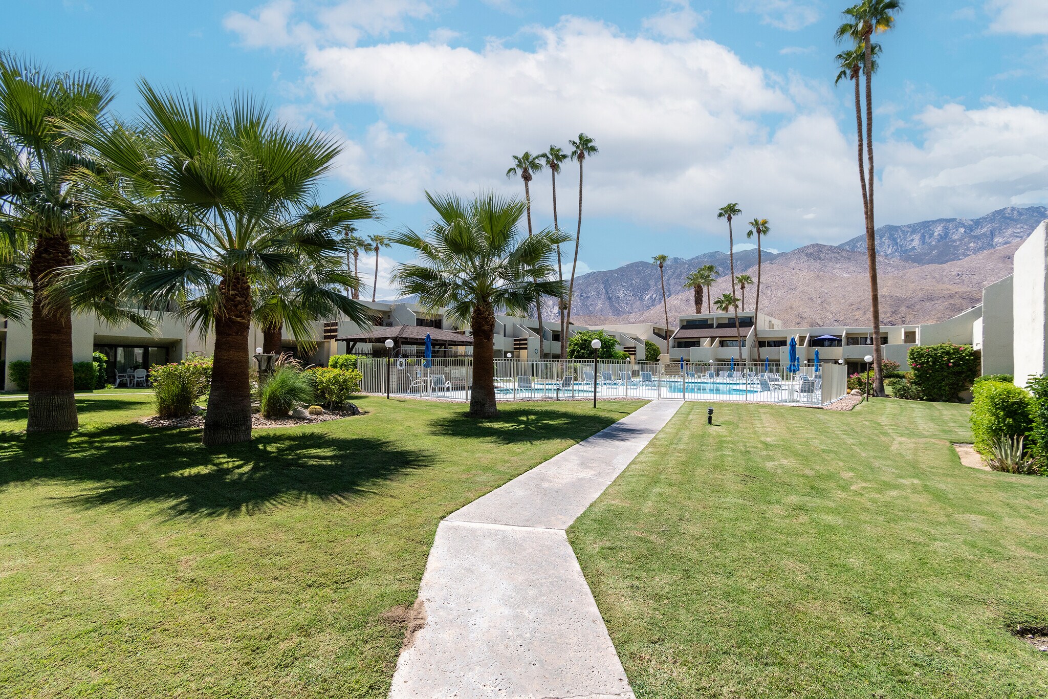 Building Photo - 1655 E Palm Canyon Dr