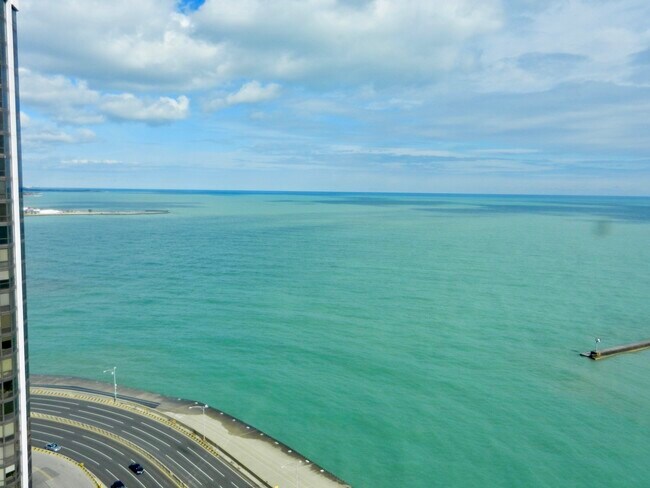 Building Photo - 900 N Lake Shore Dr