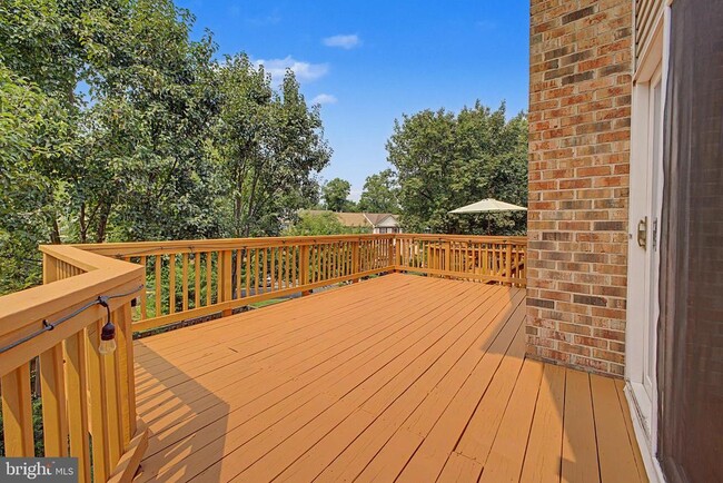 Building Photo - 7763 Asterella Ct