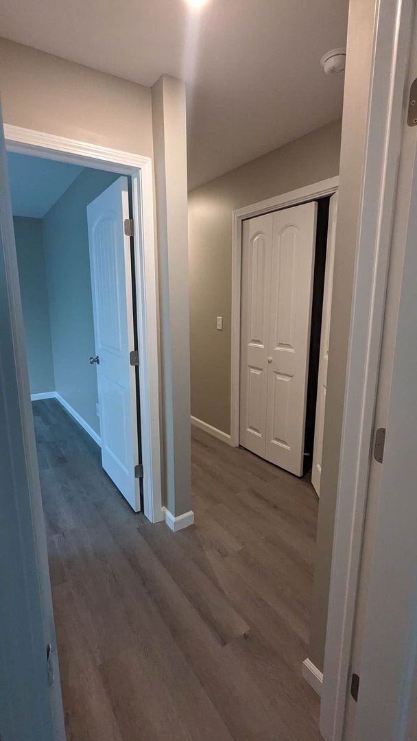 Building Photo - Brand-New Duplex – Available May 1, 2025!