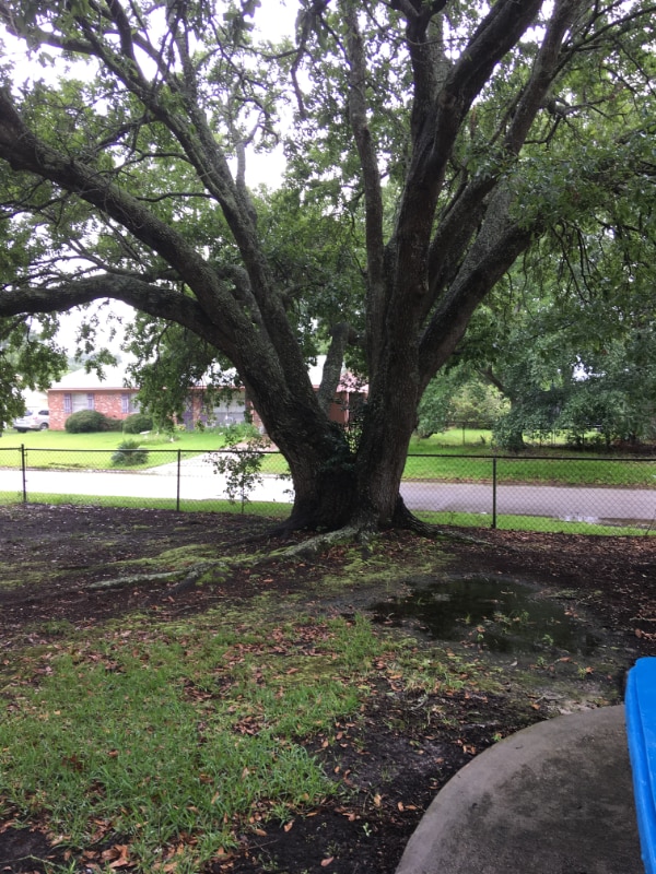 Building Photo - 659 Meadow Dr