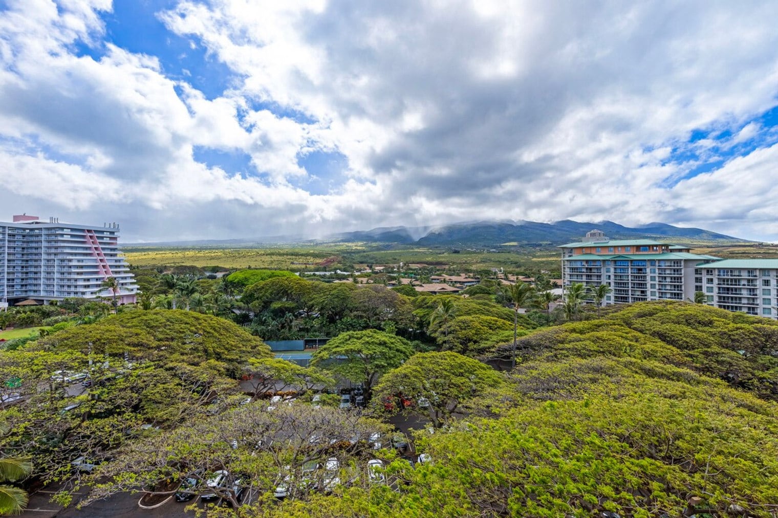 Building Photo - 110 Kaanapali Shores Pl