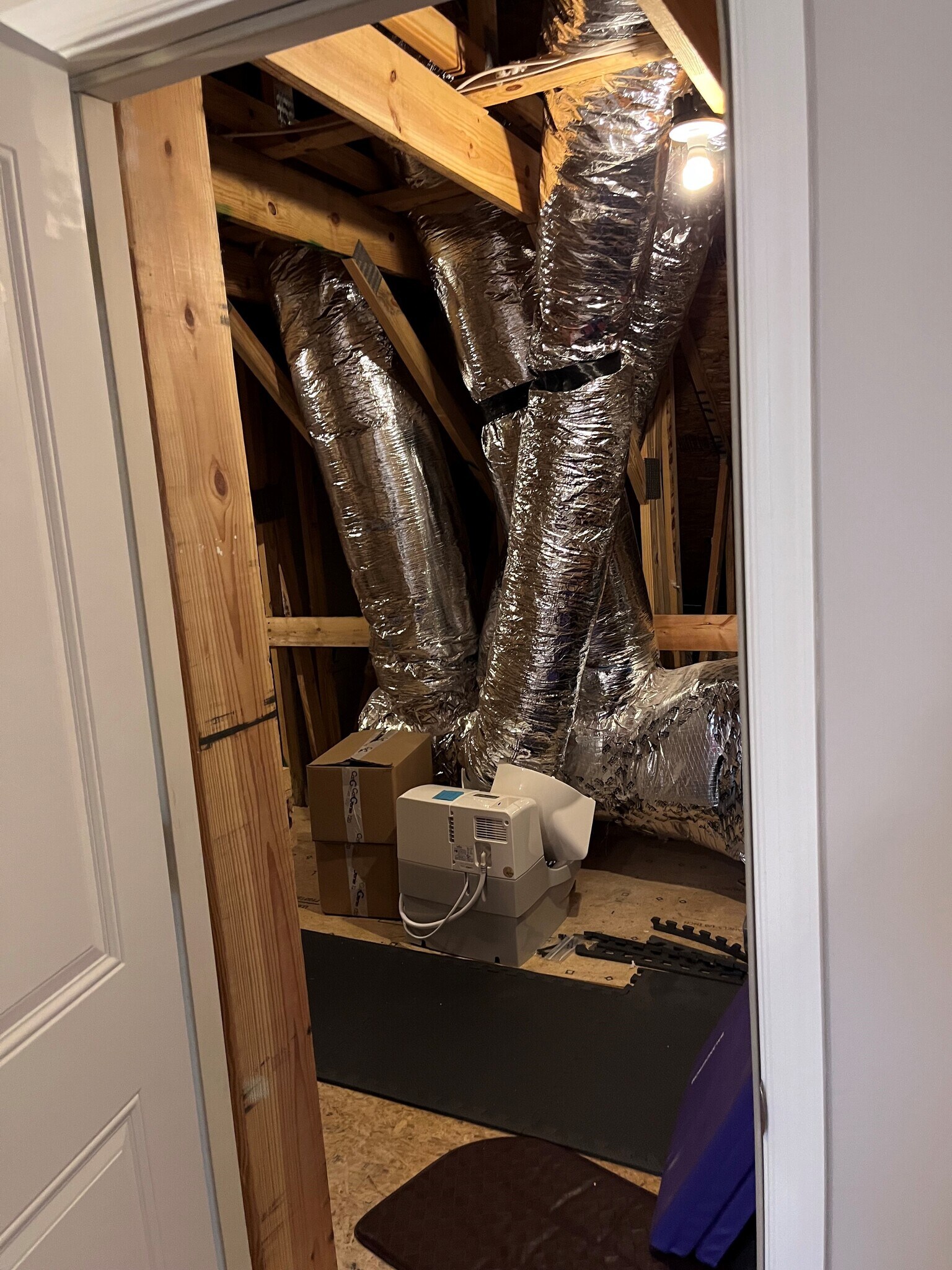 Massive walk-in attic - 7736 Tranquil Trl