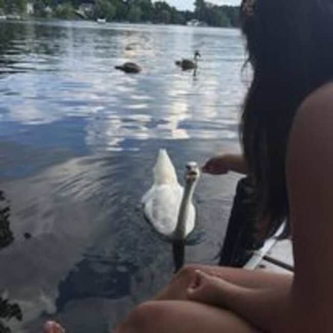 Building Photo - 6504 Buckshore Dr