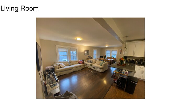 Living room - 369 Morris Ave