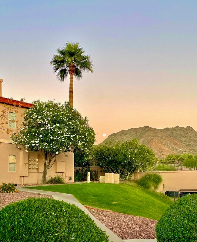 Building Photo - 10410 N Cave Creek Rd