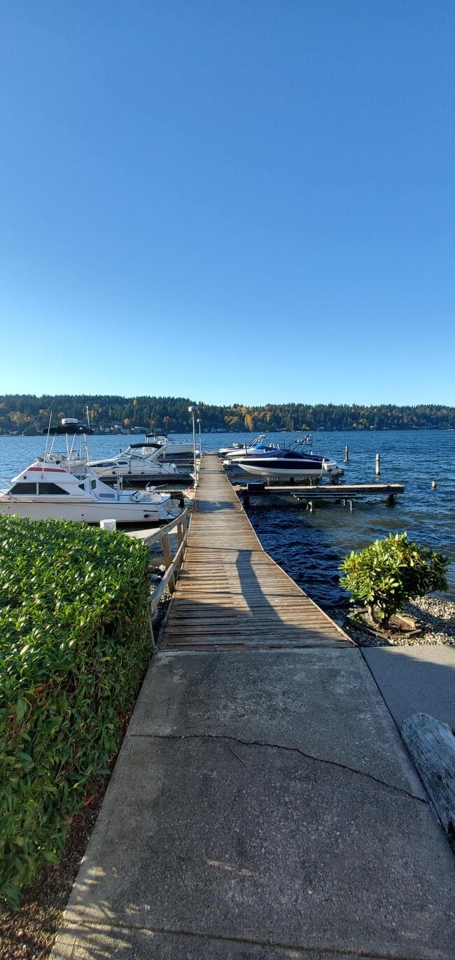 Shared Condo Dock - 5021 Ripley Ln N
