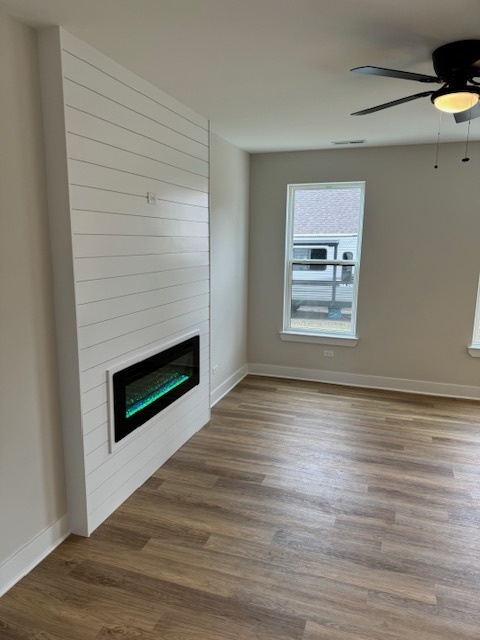 Living Room - Electric Fireplace - 12 W 4th St