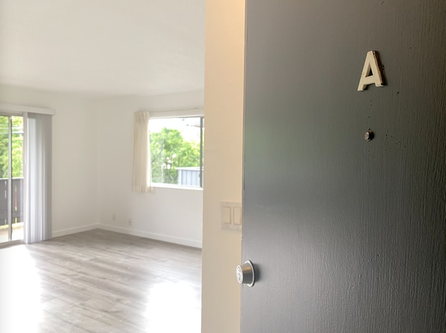 Building Photo - HUGE Stunning Remodeled 1BR/1BA Flat! Parking! -PROGRESSIVE