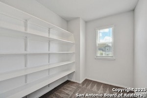 Building Photo - 113 Bella Rosa Trl